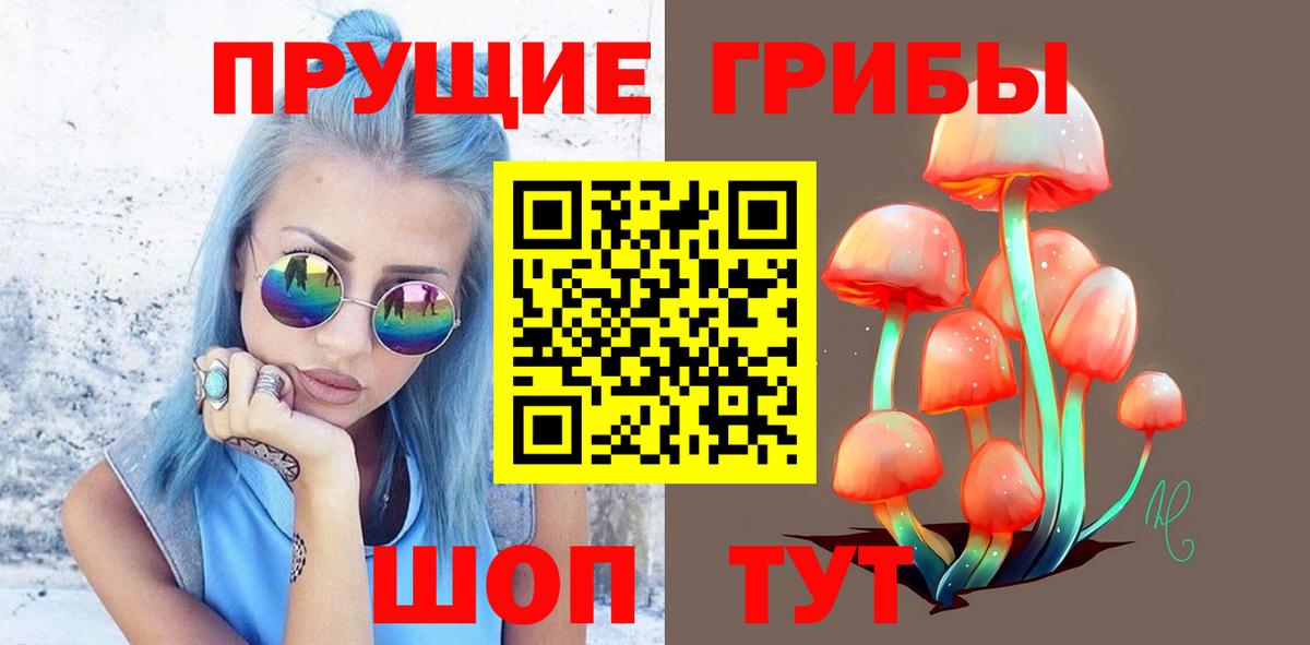 Лсд 25 Чапаевск