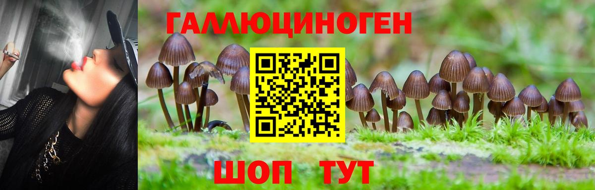 Псилоцибиновые грибы Psilocybine cubensis  цена   Чапаевск  Вход с VPN 